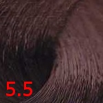 селектив колор эво 5.5 светло-каштановый махагоновый Selective Colorevo 5.5 светло-каштановый махагоновый